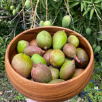Baby Green Mangoes are Back! 🥭