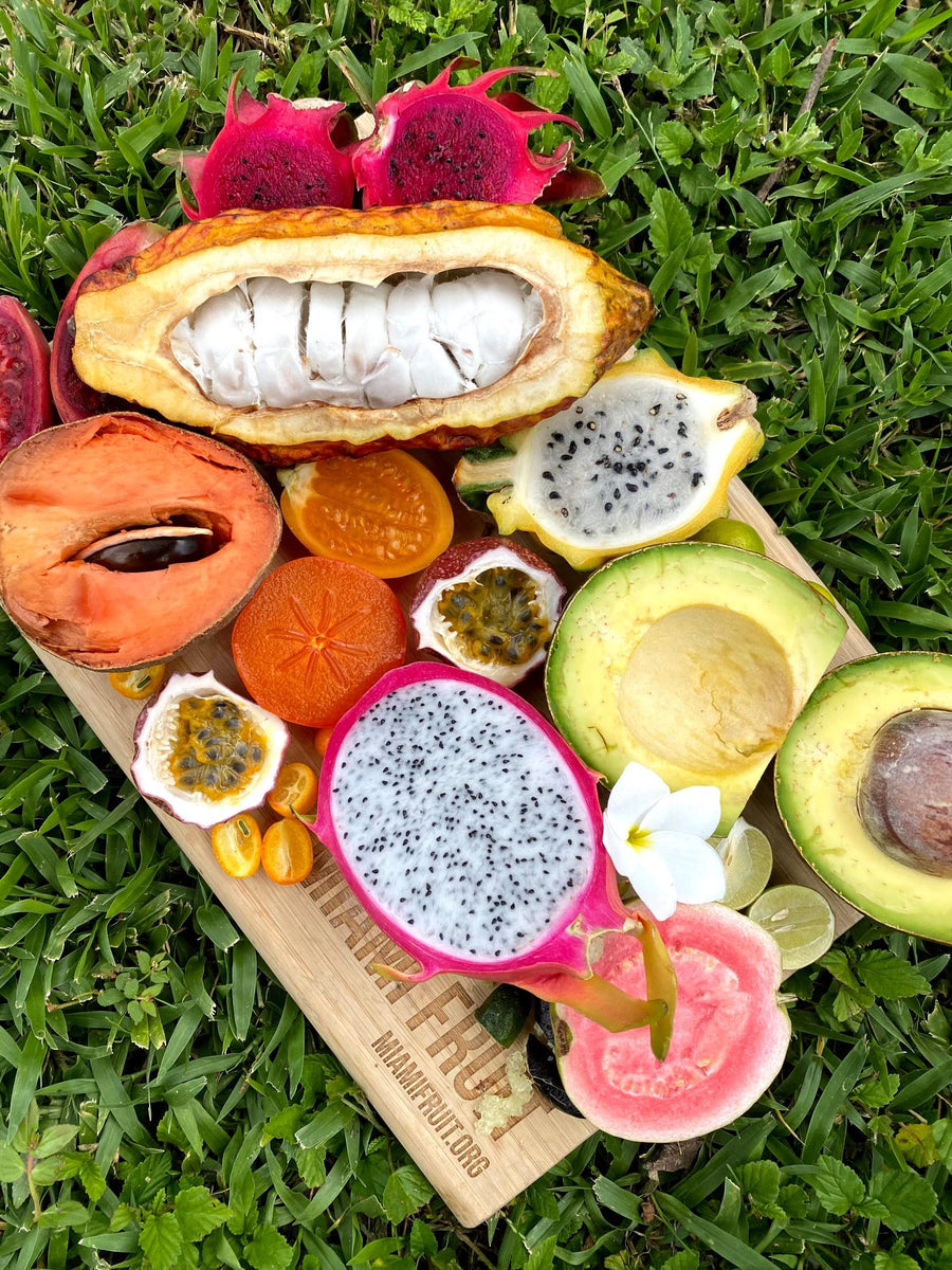 Late September Harvest Update 🌈 Miami Fruit