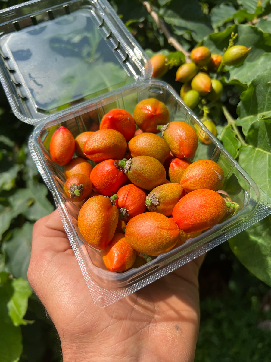 Peanut Butter Fruit is available for a limited time 🤩 Miami Fruit