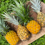 FREE Pineapple Box 🍍📦 💛