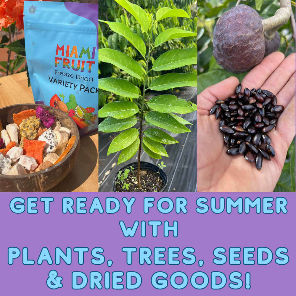 Check out our selection of plants, seeds & dried fruit 🌱