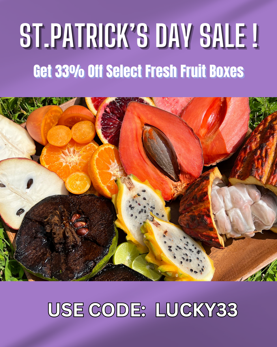 St. Patricks Day Sale 33 off! 💚 LAST CALL Miami Fruit