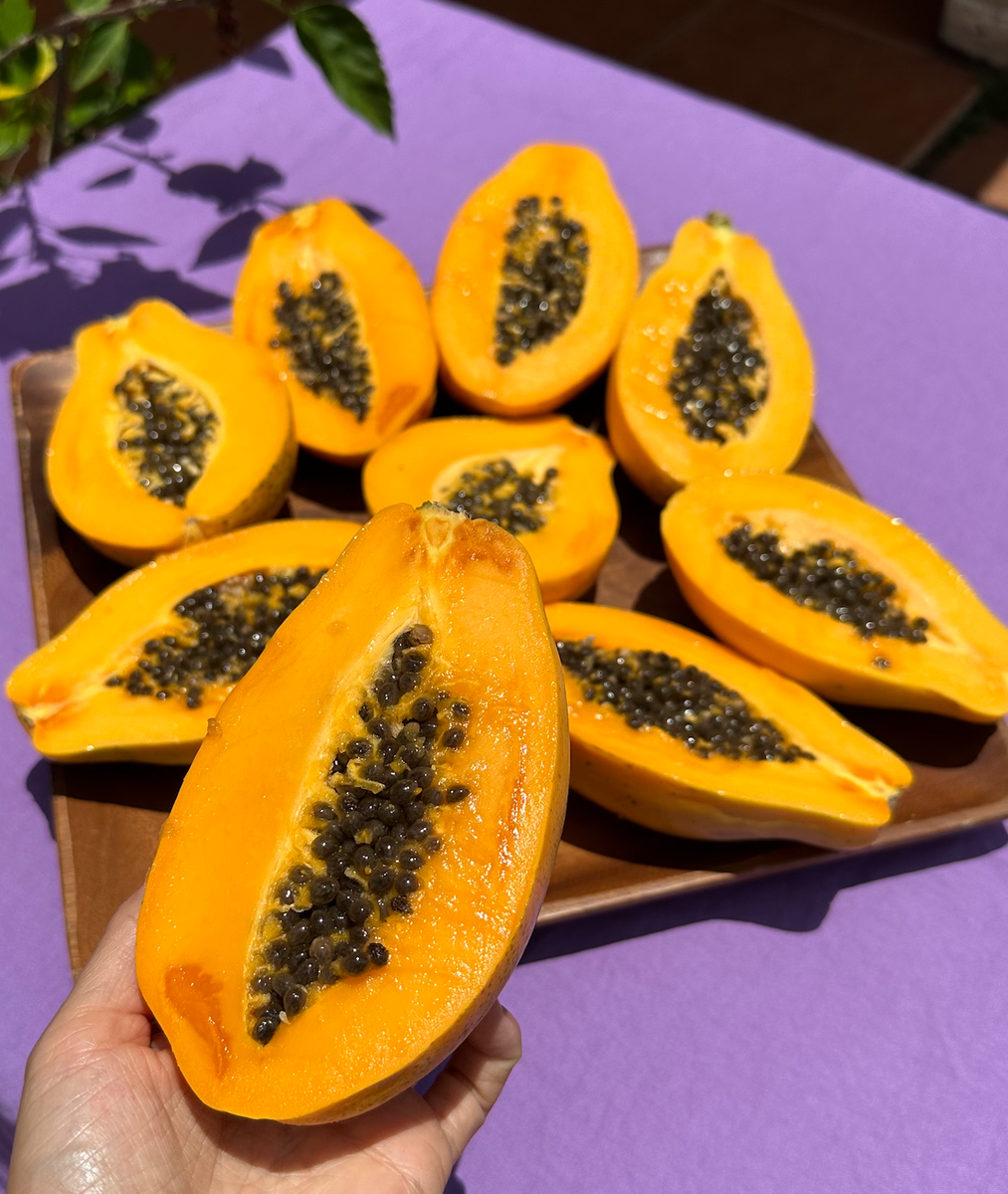 Papaya Season Is On The Horizon! 🧡 Miami Fruit
