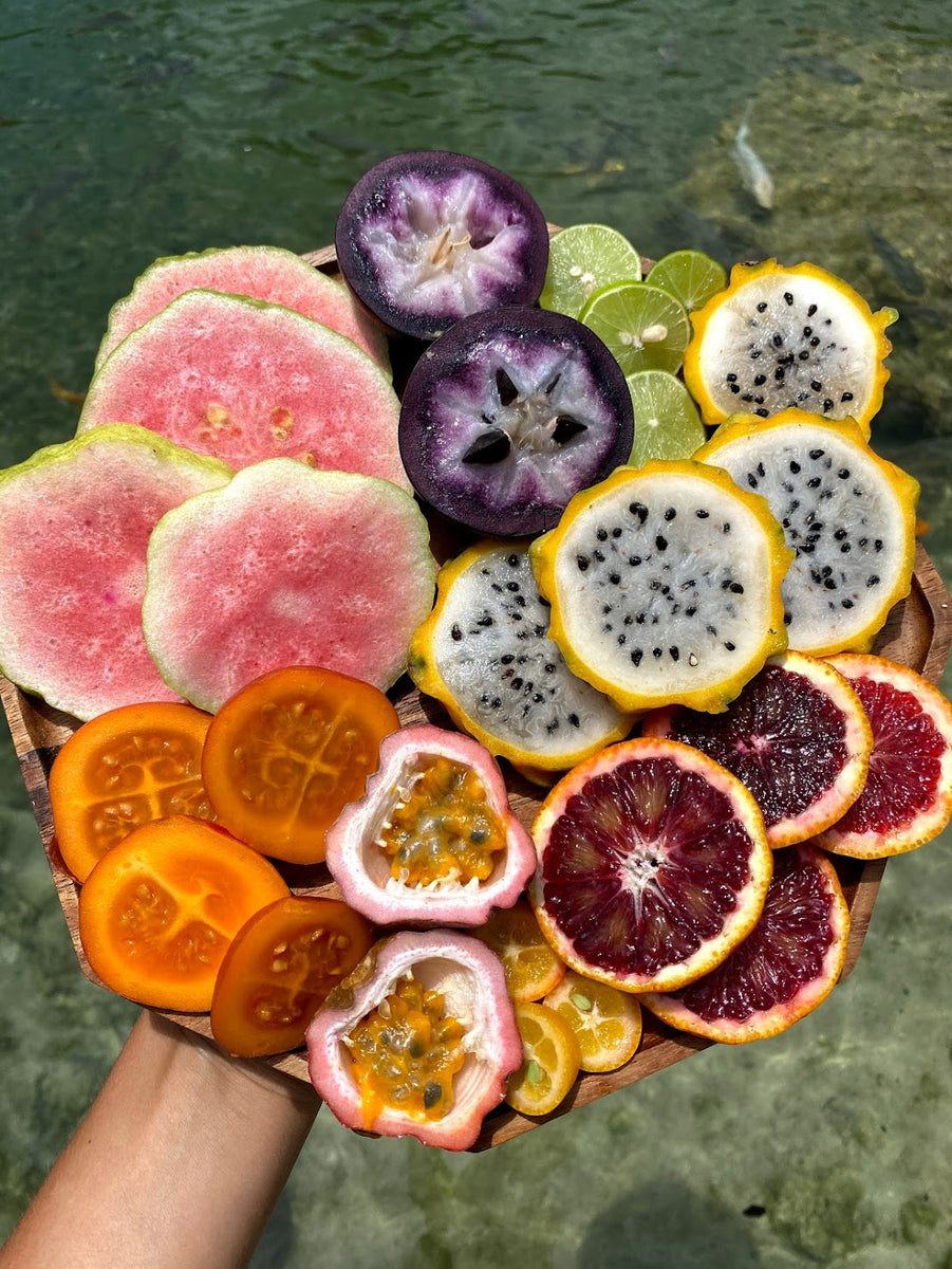 End of April Harvest Update 🌈 Miami Fruit