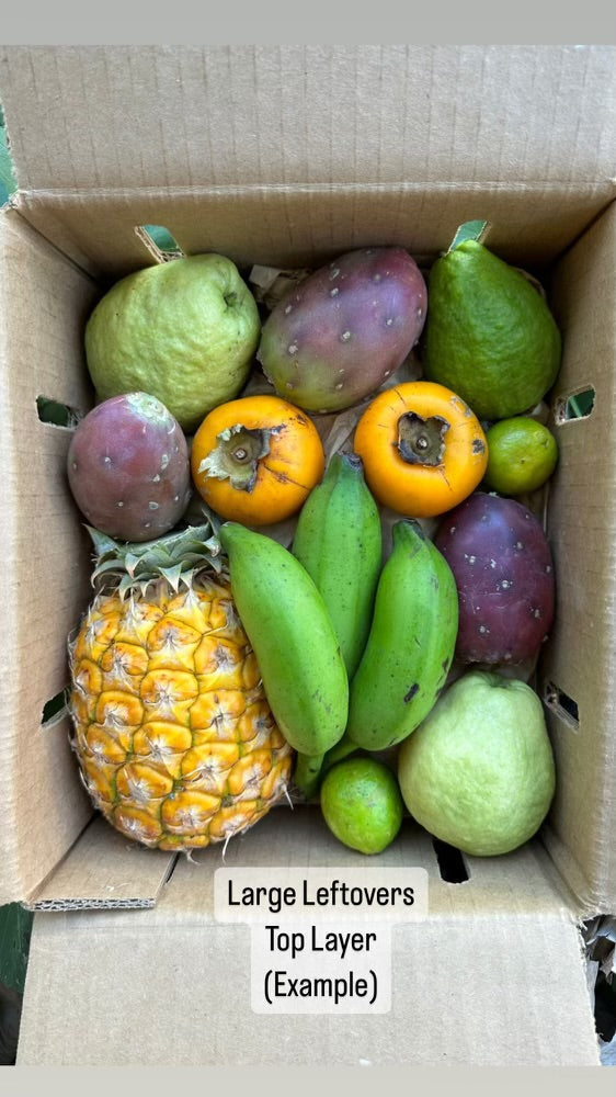 Leftovers Box – Miami Fruit
