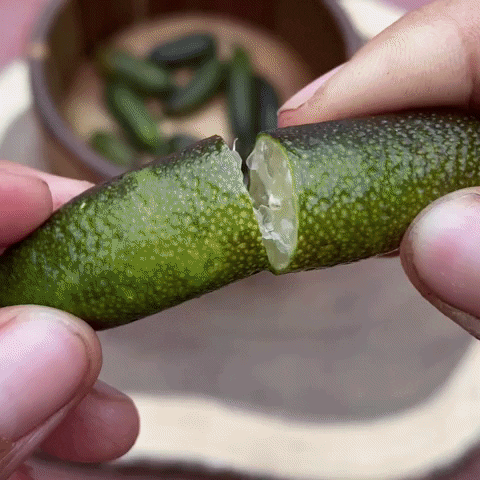Finger Lime (citron Caviar) (Disponible en Mai ou Juin 2024)