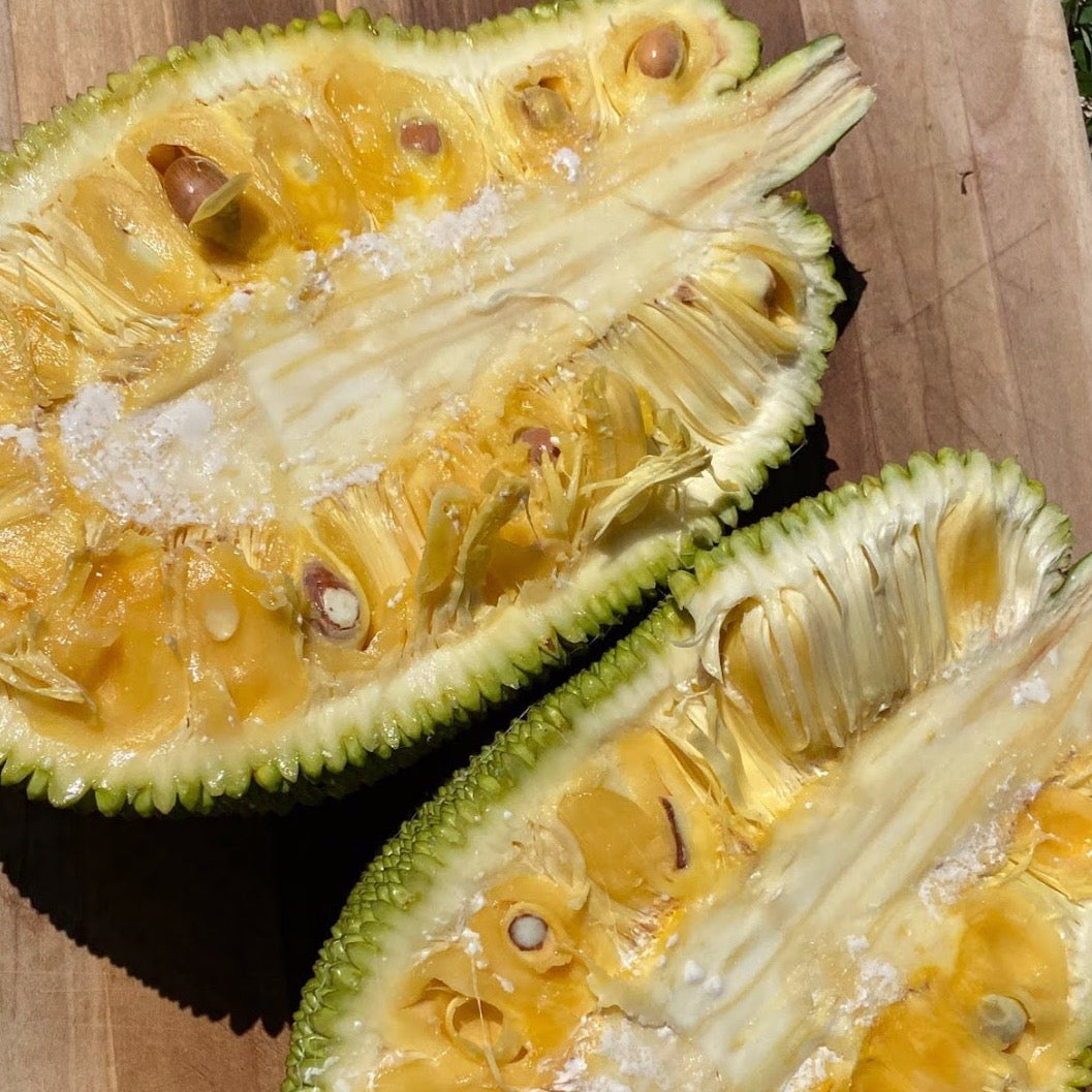Jackfruit - Buy fresh Jackfruit online from Miami Fruit