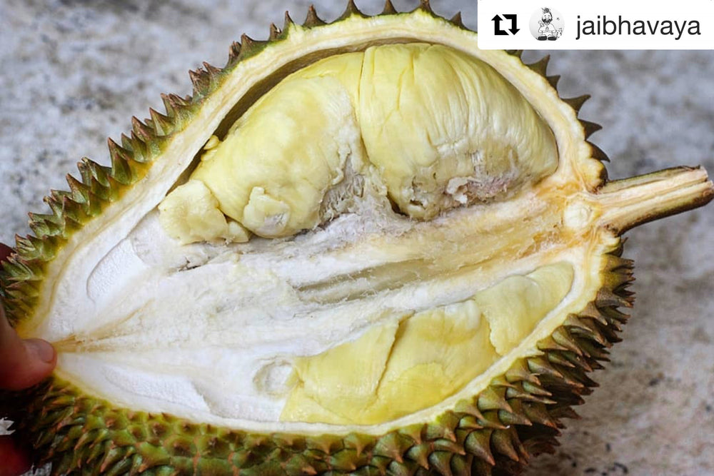 Fresh Monthong Durian *Pre-Order*