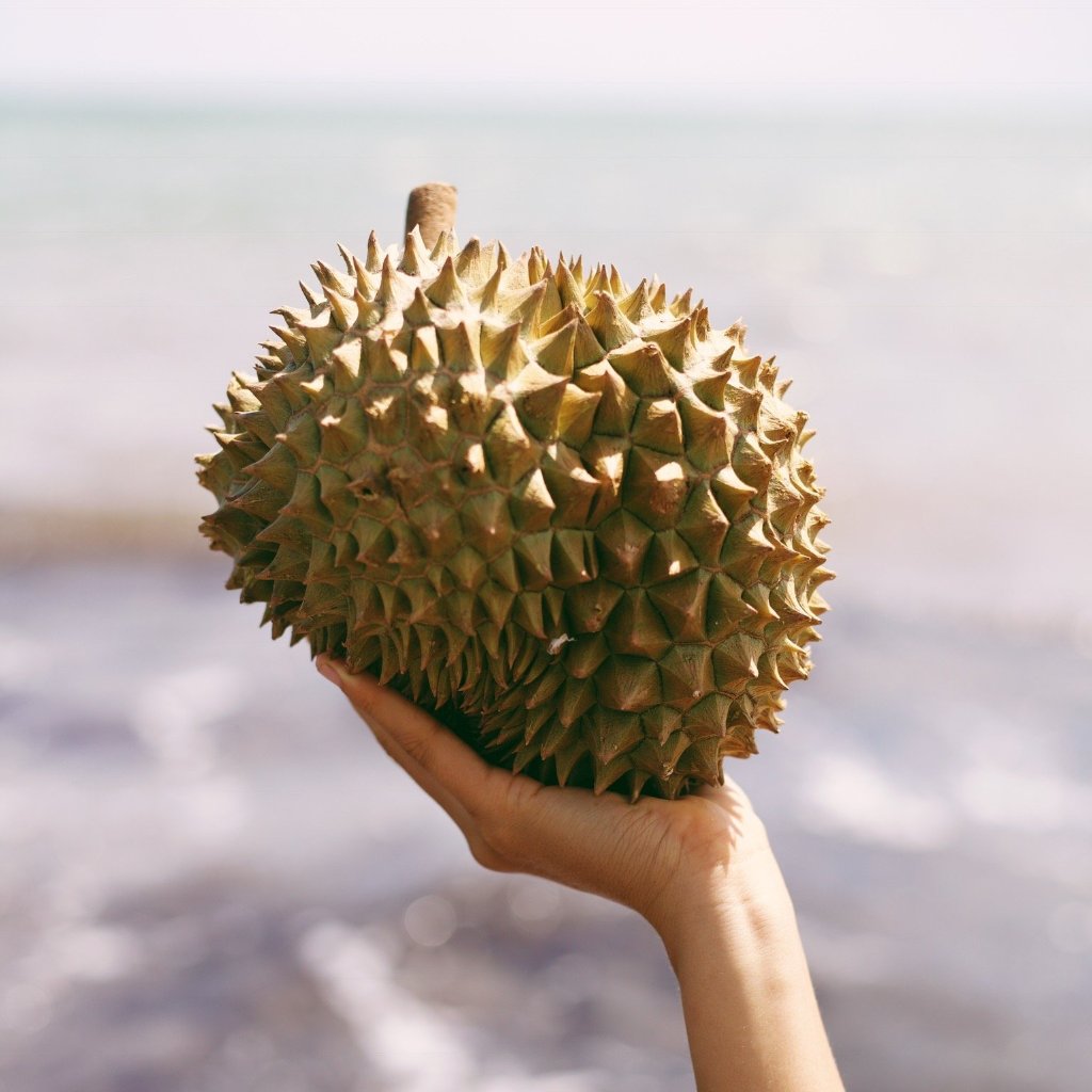 Fresh Durian - Buy fresh Durian online from Miami Fruit