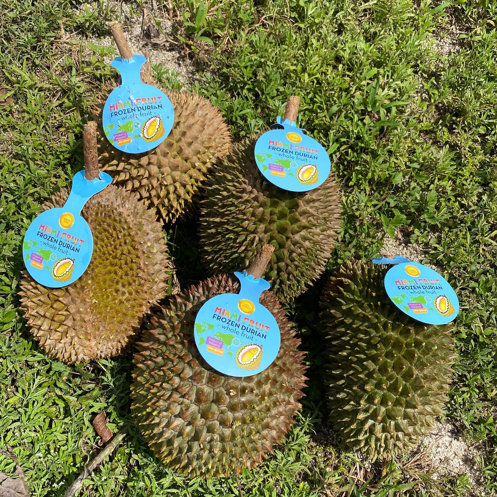 Durian Party Box - Musang King, D24, D101, Hulu, & Red Prawn