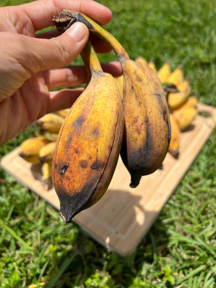 Seeded Banana