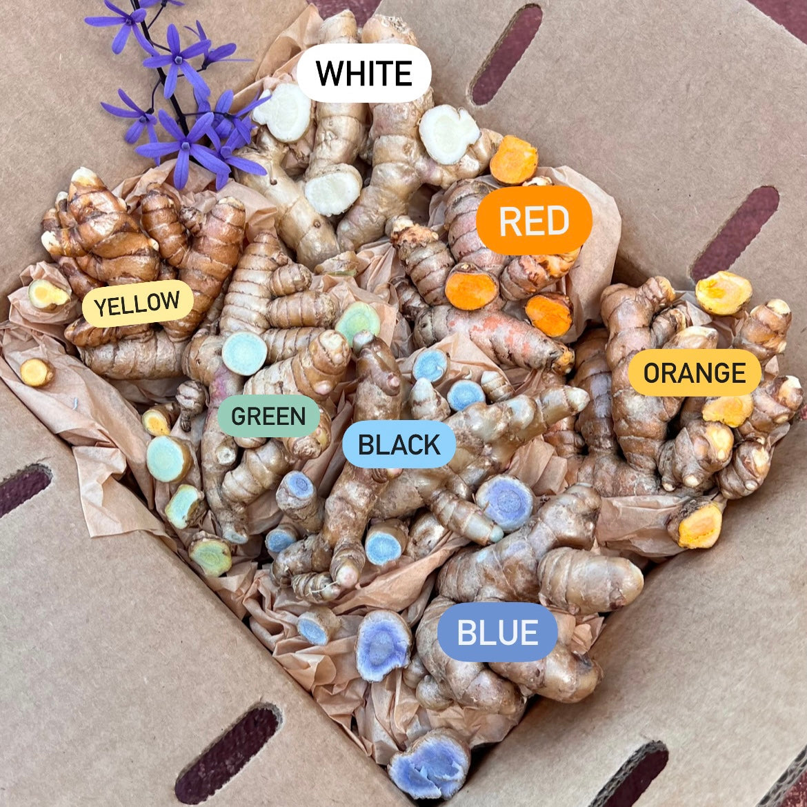 Rainbow Turmeric Box *Pre-Order* – Miami Fruit