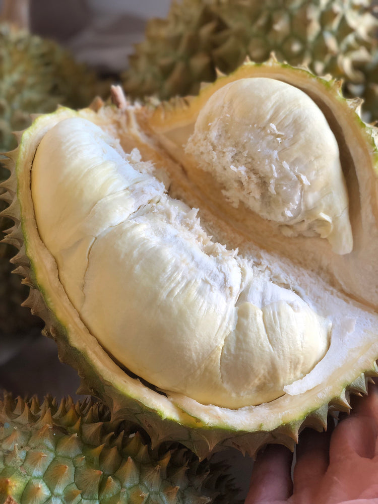 Fresh Monthong Durian *Pre-Order*