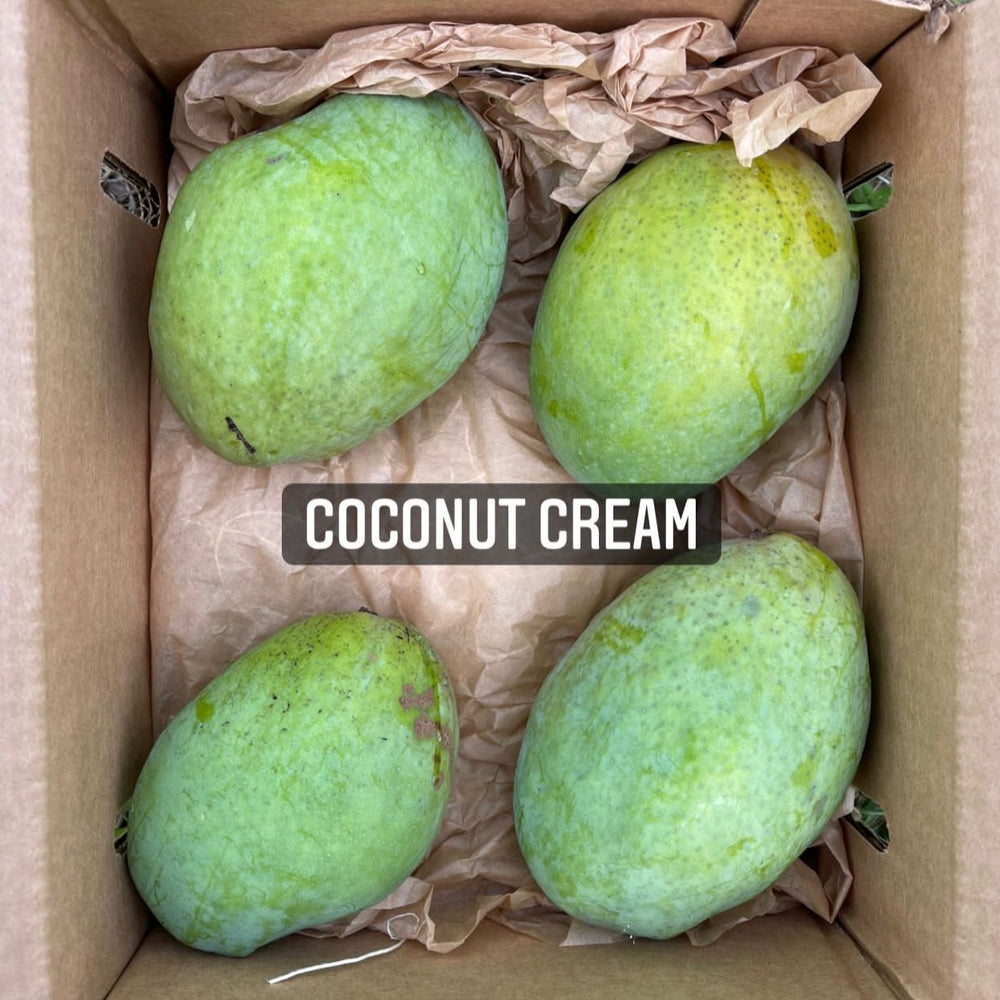 Coconut Cream Mango *Pre-Order*