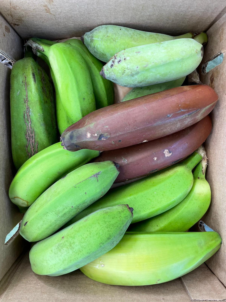 Banana Variety Box – Miami Fruit