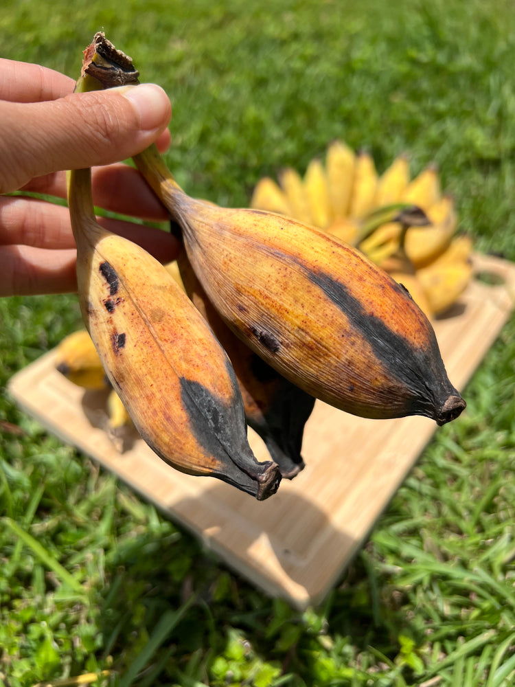 Seeded Banana