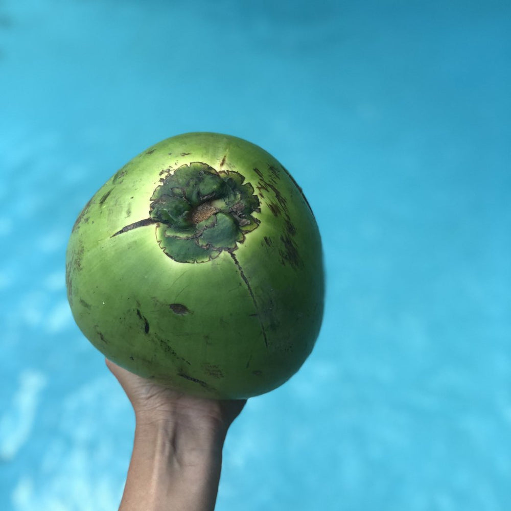 Water Coconut
