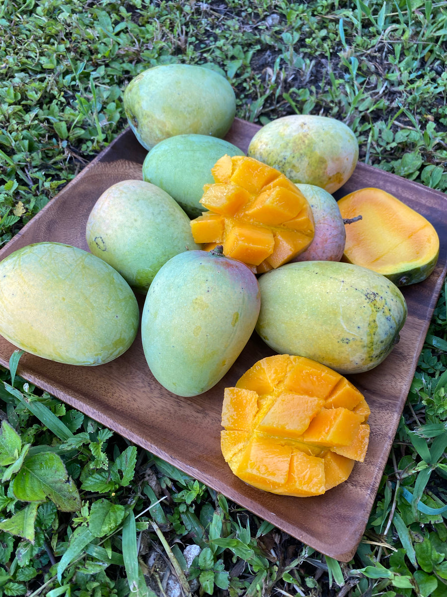 Mango season is in full bloom! #Kesarmango