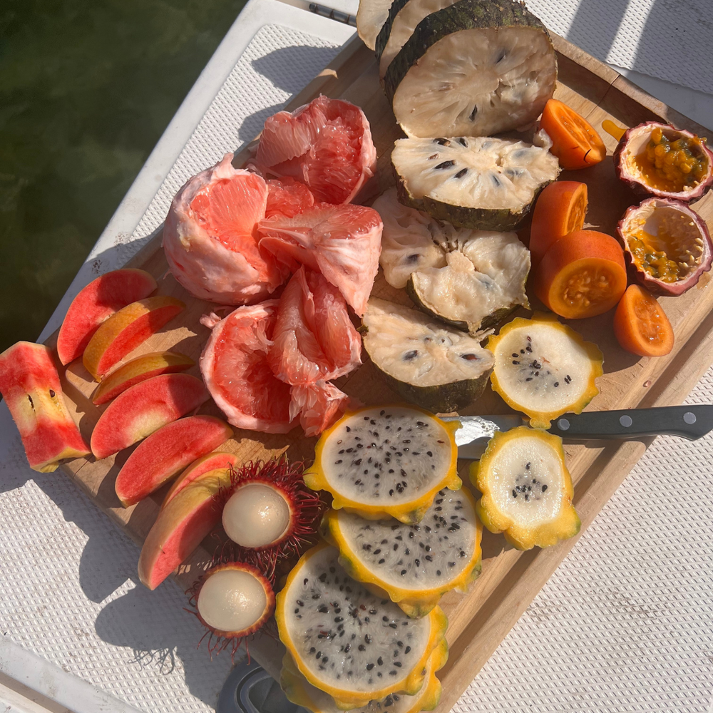 Beginning of December Harvest Update 🌈