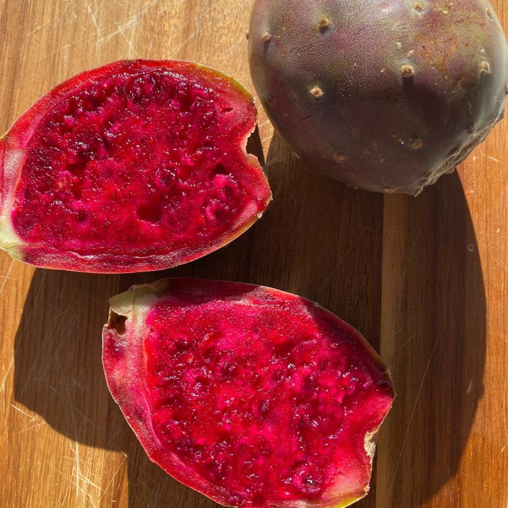 Prickly Pear Cactus Fruit is Available Now! 🌵