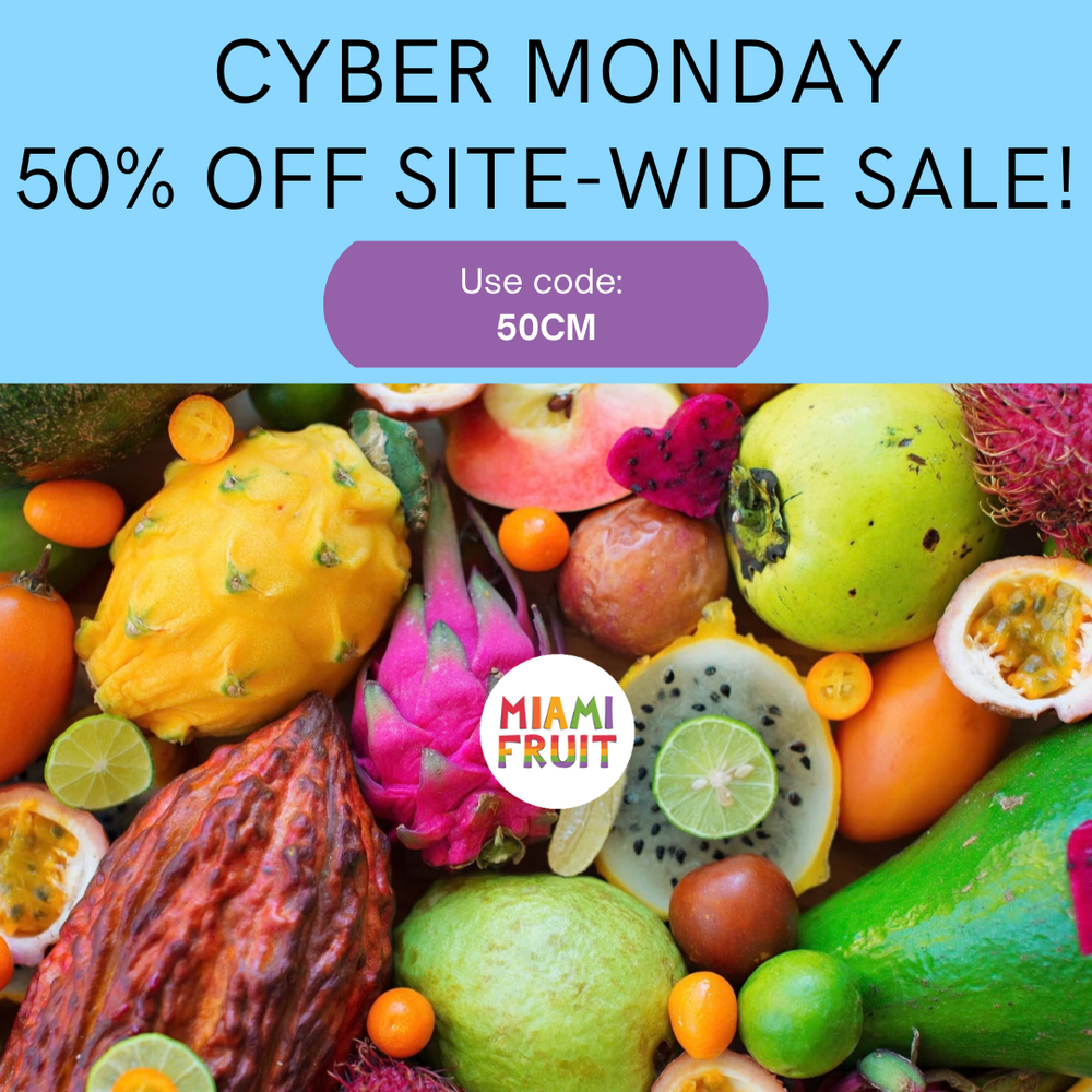 Cyber Monday Sale EXTENDED! 🎉