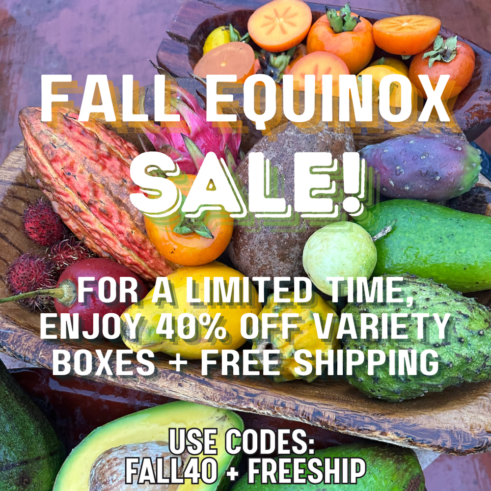 Shop Our Fall Equinox Sale! 🍂 Limited Time Offer ✨