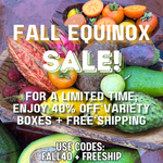 Shop Our Fall Equinox Sale! 🍂 Limited Time Offer ✨