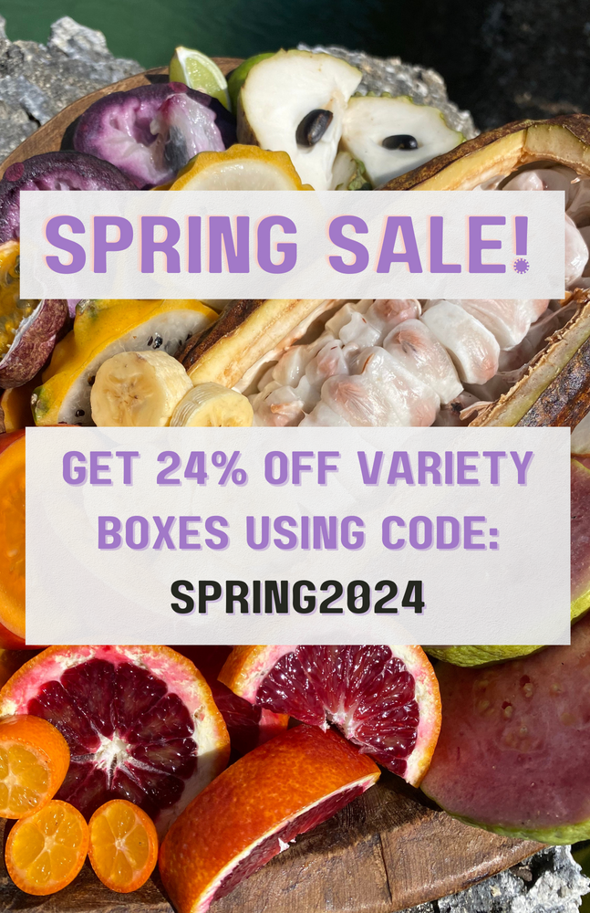LAST CALL for 24% off Variety Boxes 🌈