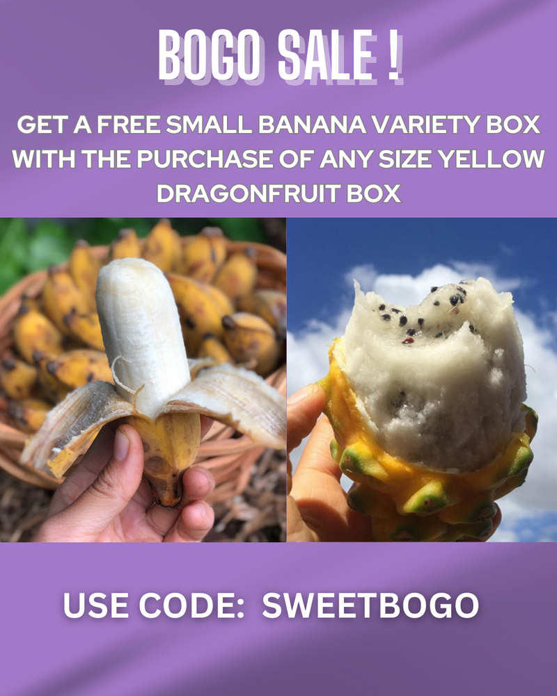 FREE Small Banana Variety Box w/ Yellow Dragonfruit Box purchase 🌈