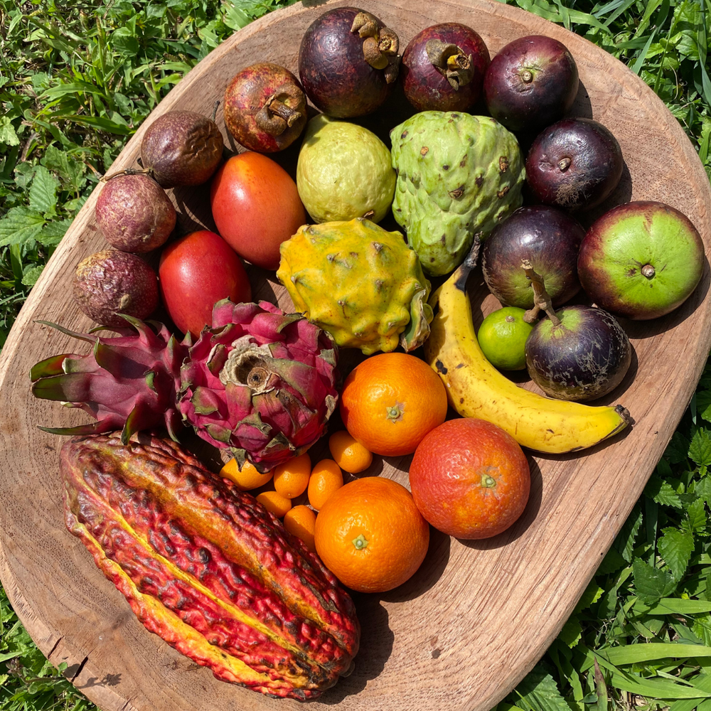 Late May Harvest Update 🌈