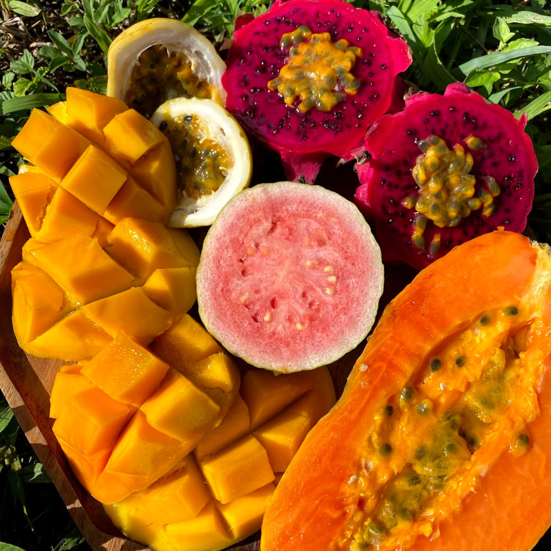 Late June Harvest Update 🥭 Miami Fruit