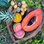 Late July Harvest Update 🌈