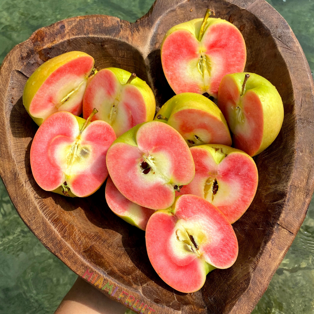 Hidden Rose Apple Season incoming! 🌹