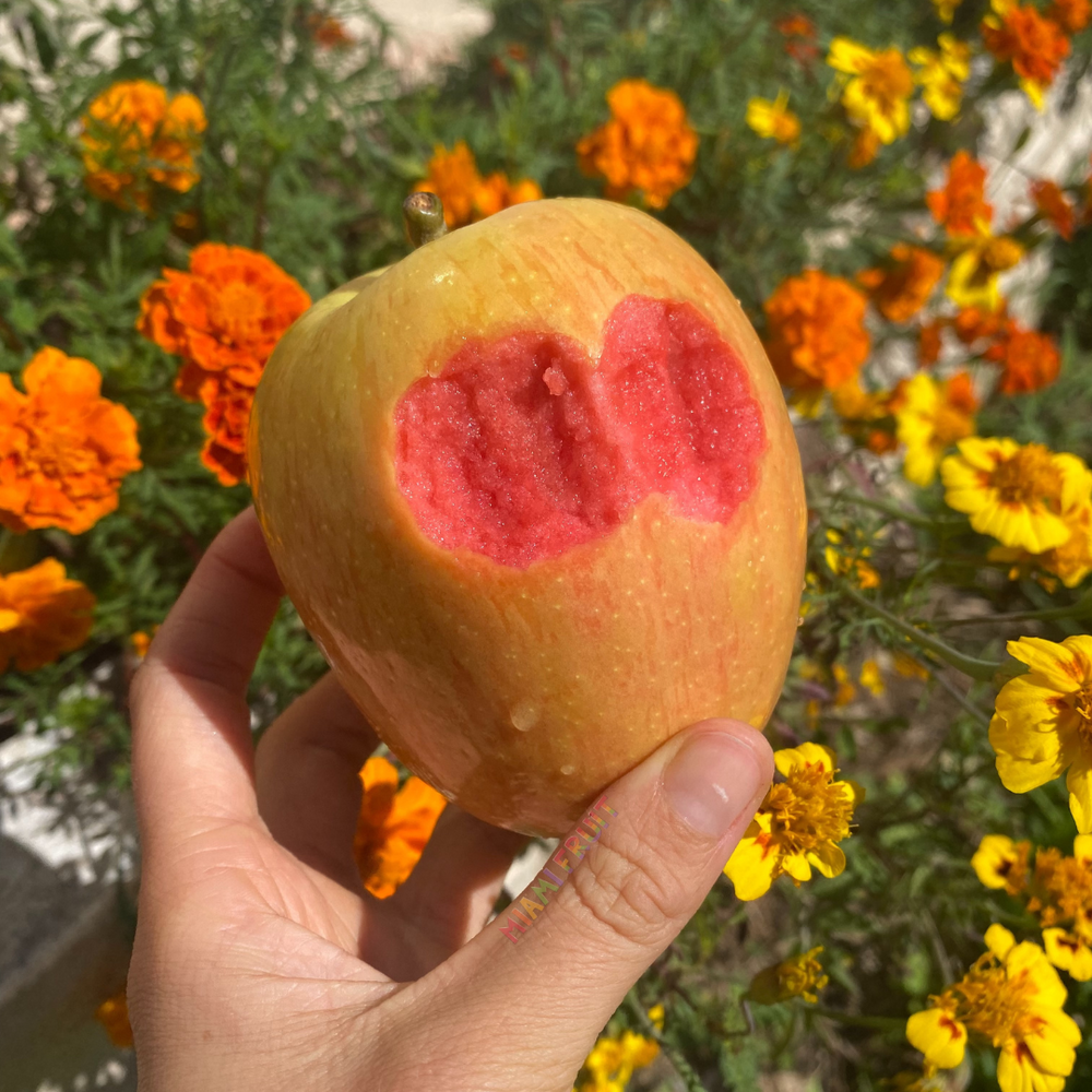 It's Hidden Rose Apple Season! 🌹