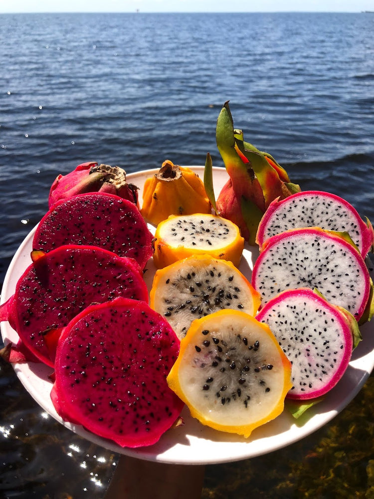 💖 Dragonfruit MIX box FLASH SALE!! 🐲 for the next 24 hours ONLY! ⌛️
