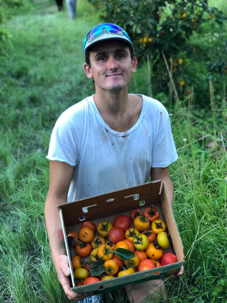 🌈September Harvest Update + DURIAN HEAVEN 👑