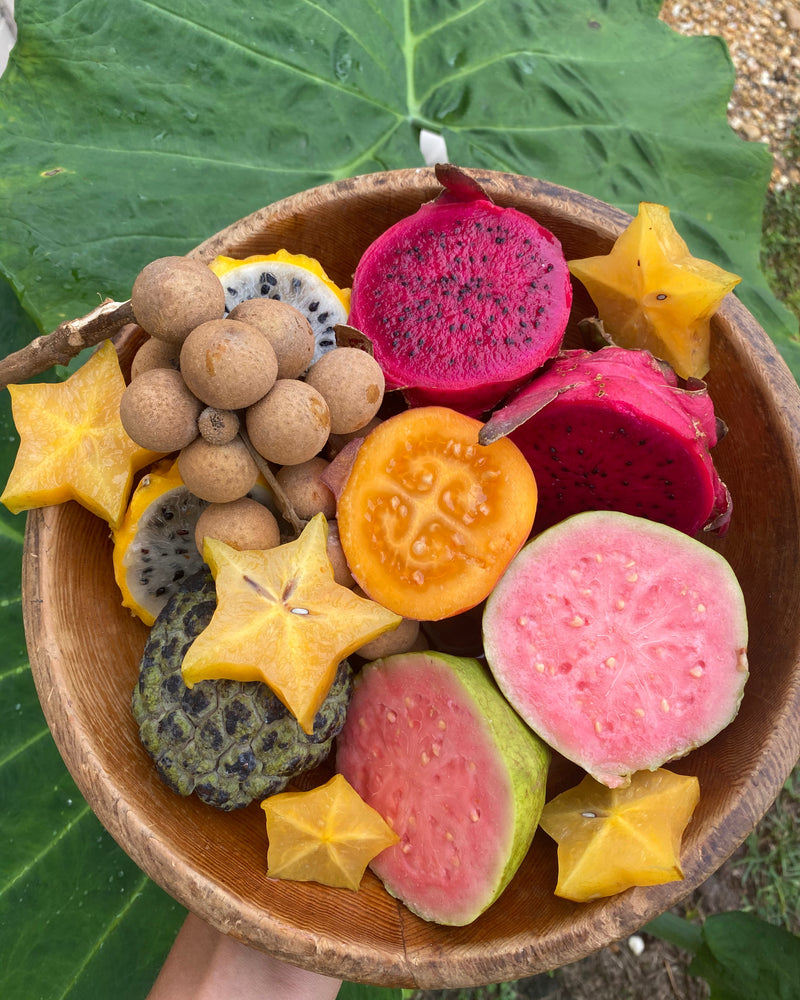 Happy Vegan Day🌿SALE + What's in season for the beginning of November 🌈