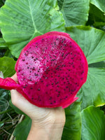 ❤️ Red dragonfruit is BACK + learn more about it!