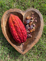 24 hour cacao sale! ❤️