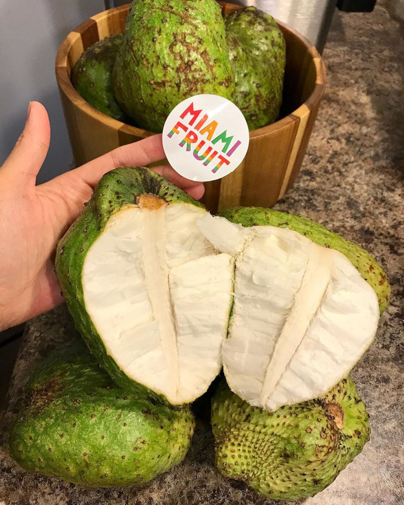 💚 SOURSOP SALE! ⚡️ $30 OFF Any Size Soursop Box 📦 Limited Time Only