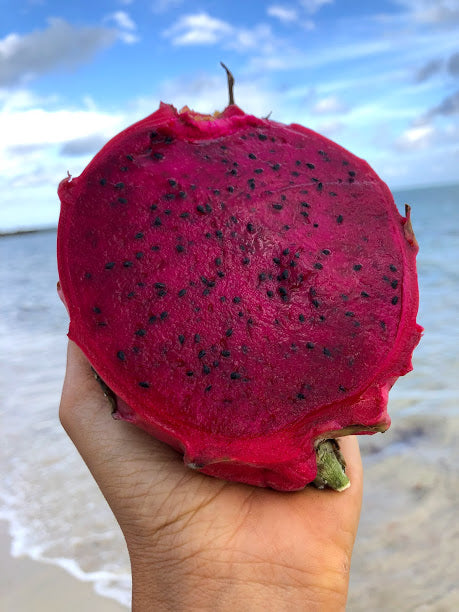 Red Dragonfruit SALE ❤️