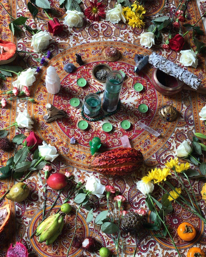 Mid-October 🎃 Harvest Update 🌳