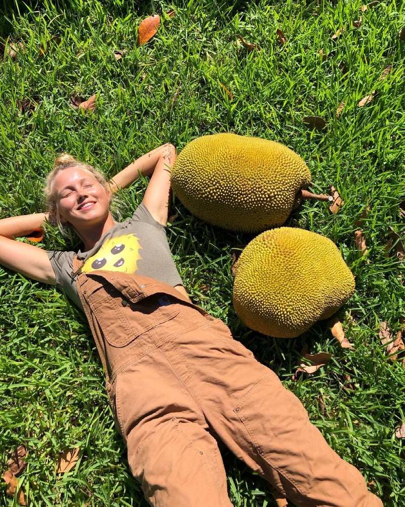 Jackfruit Season is Abundant! 💚