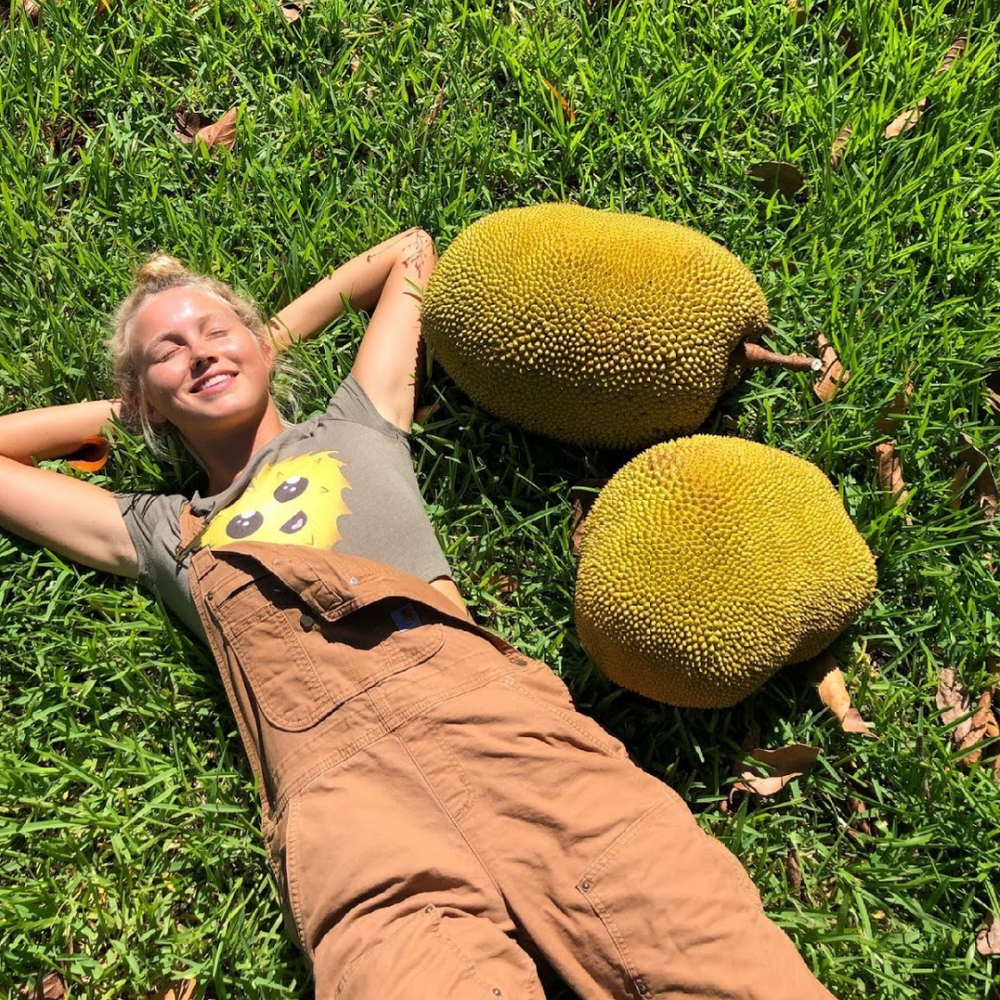 Jackfruit season is peaking! 💚