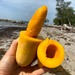 Mahachanok Mangos 🥭 Available Now! 🤩