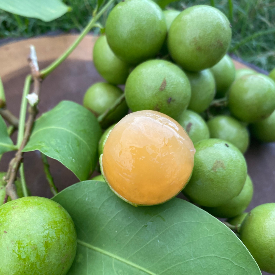 Guinep season is HERE 💚 – Miami Fruit