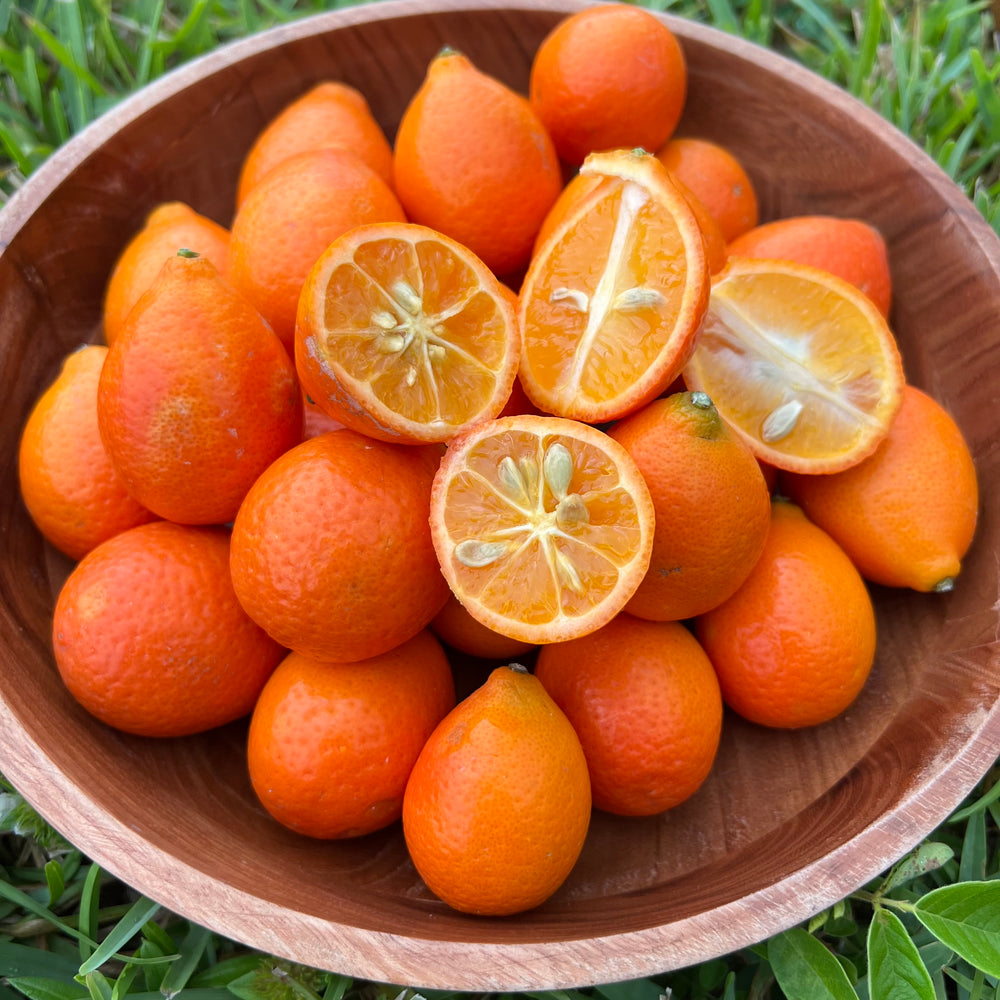 Mandarinquats are in season now! 🍊✨