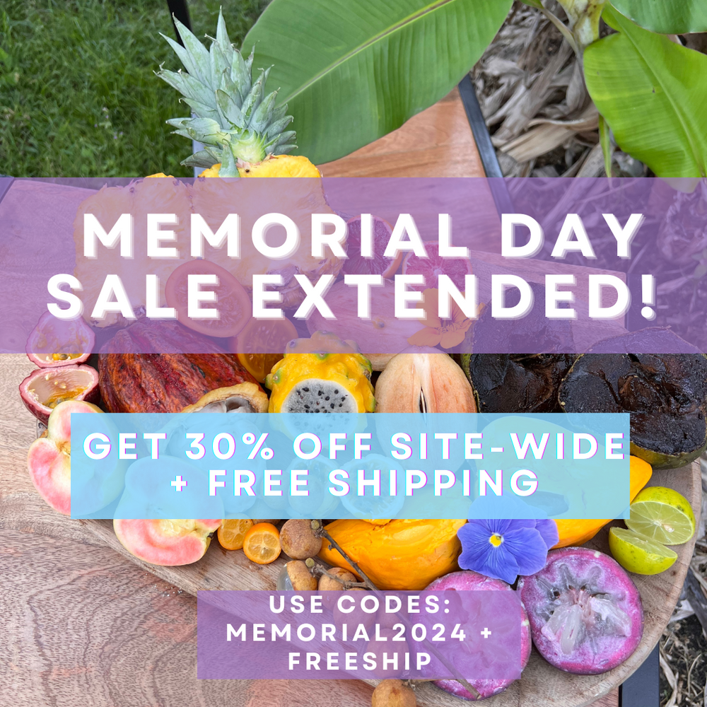 Memorial Day Sale EXTENDED! 🥳