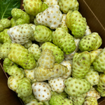 Noni is in season now 💚