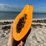 SALE 23% Off 🌟 Any Size Papaya Box 🧡